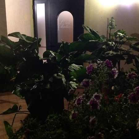 L' Aia Antica Bed & Breakfast Veroli Bagian luar foto