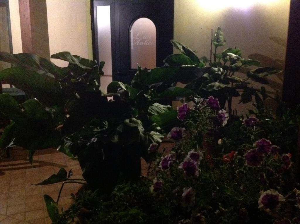 L' Aia Antica Bed & Breakfast Veroli Bagian luar foto
